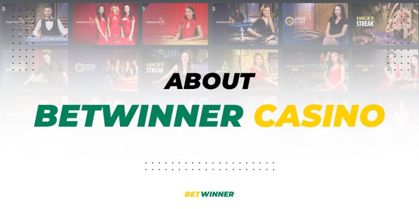 BetWinner: Your Gateway to Thrilling Casino Bonuses and Promotions
